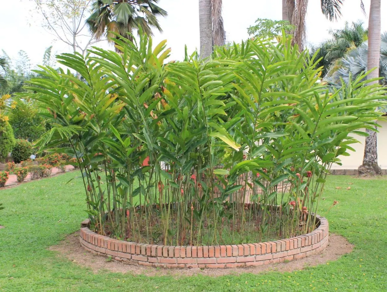 Hotel Campestre Hacienda S J Villavicencio 2*,  Colombia